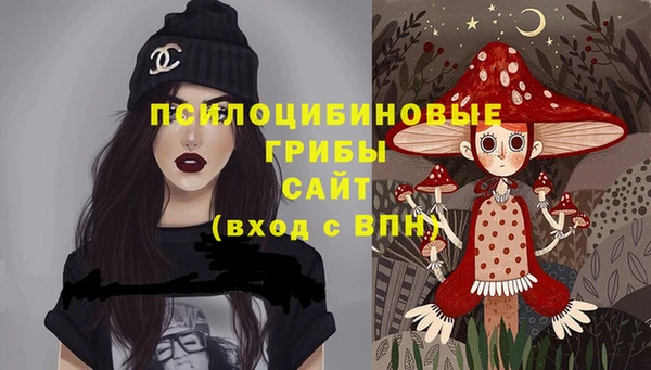 сатива Алексин